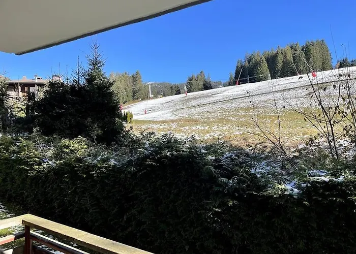 Très Beau T1 Refait à Neuf